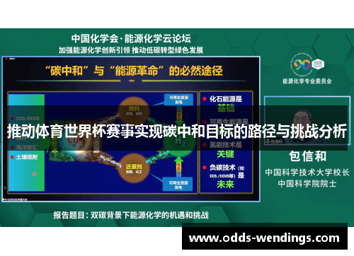 推动体育世界杯赛事实现碳中和目标的路径与挑战分析