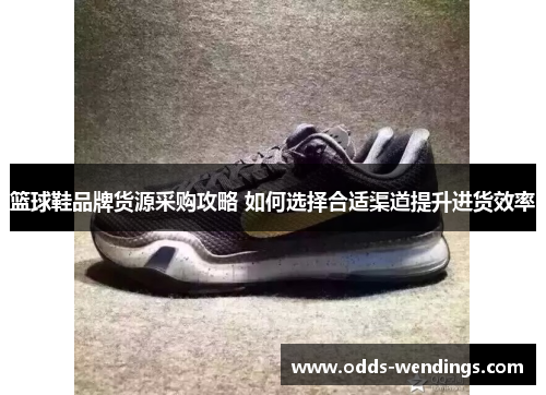 篮球鞋品牌货源采购攻略 如何选择合适渠道提升进货效率