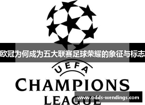 欧冠为何成为五大联赛足球荣耀的象征与标志