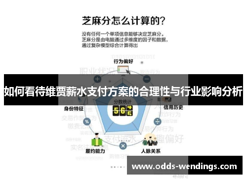 如何看待维贾薪水支付方案的合理性与行业影响分析