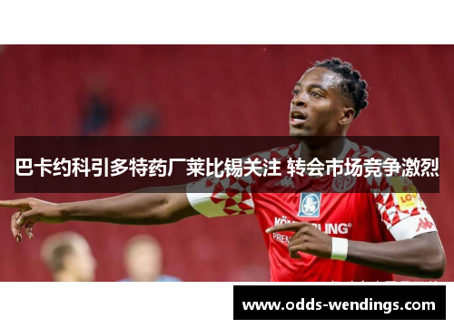 巴卡约科引多特药厂莱比锡关注 转会市场竞争激烈