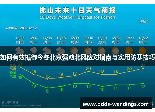 如何有效抵御今冬北京强劲北风应对指南与实用防寒技巧