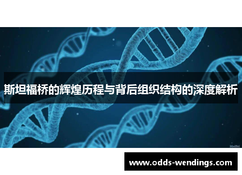 斯坦福桥的辉煌历程与背后组织结构的深度解析