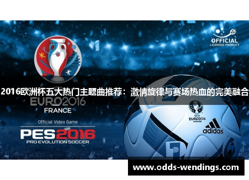 2016欧洲杯五大热门主题曲推荐：激情旋律与赛场热血的完美融合